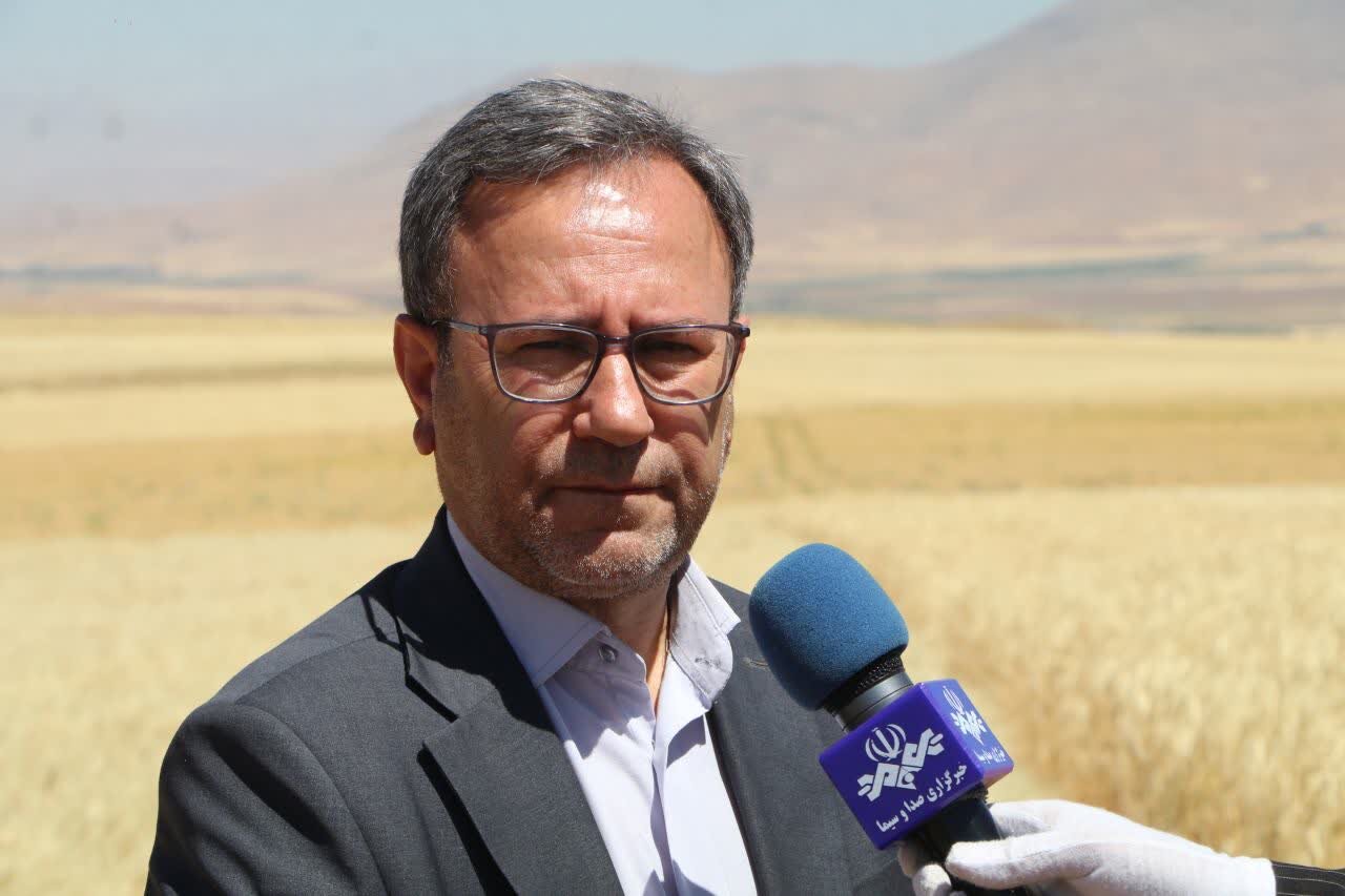 تحولی در زراعت لرستان با تمرکز بر نوآوری: راهاندازی پنج مرکز خلاقیت برای افزایش بهرهوری تحولی در زراعت لرستان با تمرکز بر نوآوری: راهاندازی پنج مرکز خلاقیت برای افزایش بهرهوری