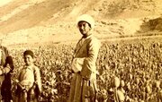 عکس/ کشاورزان اصفهانی در مزرعه «خشخاش»؛ ۱۳۰ سال قبل