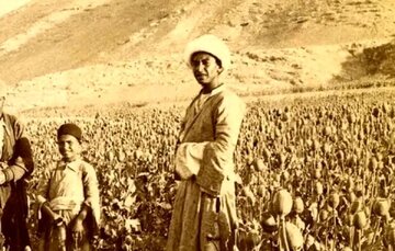 عکس/ کشاورزان اصفهانی در مزرعه «خشخاش»؛ ۱۳۰ سال قبل