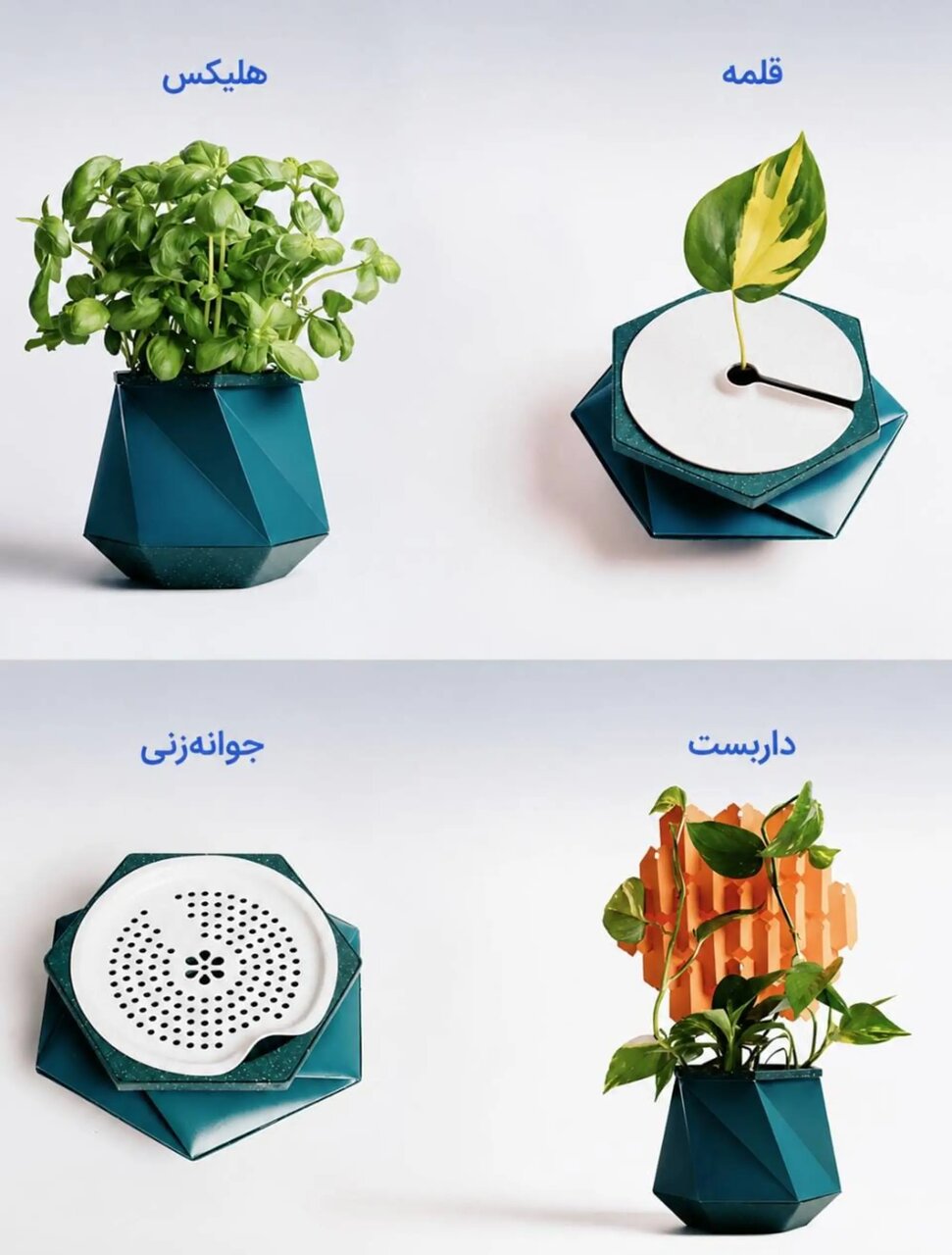 گلدانی که همراه با گیاه رشد میکند / عکس