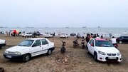 سورو را زیر چرخ خودروها دفن نکنید؛ این ساحل دیگر توان ندارد