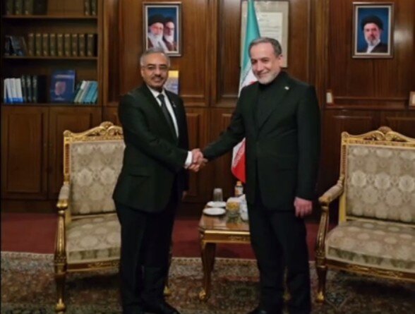 دیدار عراقچی با دبیرکل دی۸