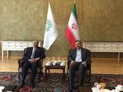 ایده تشکیل شبکه اندیشکده‌های دی‌۸ روی میز ایران؛ خطیب‌زاده و سهیل محمود چه توافقی کردند؟