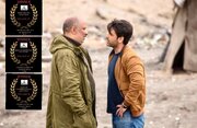 سه جایزه دیگر برای «آن‌ها مرا دوست داشتند» در آمریکا