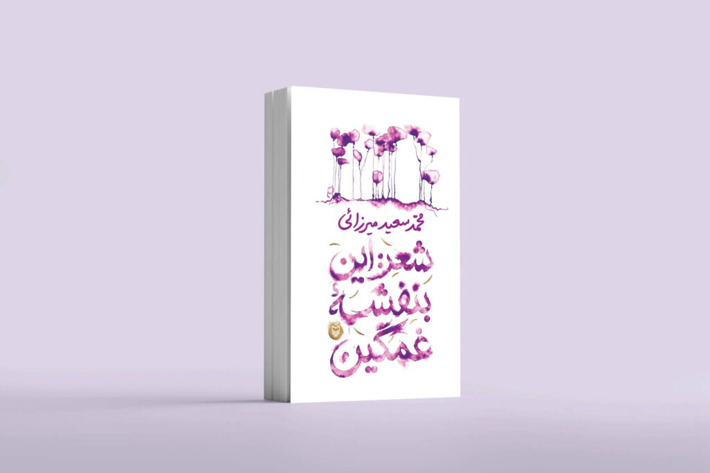 آن دیدار، سرنوشت ادبیام را عوض کرد/ شاعر جوانی که رهبر او را «نَفَسِ بیدل دهلوی» نامید