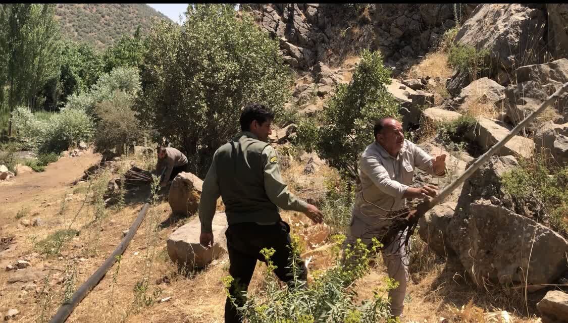 ۵ هکتار از اراضی ملی منطقه گردشگری کهمان از چنگ متصرفان خارج شد