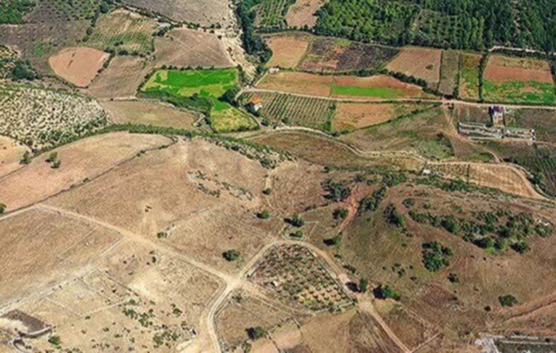 تعیین تکلیف ۱۳ میلیون متر مربع از زمینهای کشاورزی فارس به منظور پروژههای بزرگ اقتصادی تعیین تکلیف ۱۳ میلیون متر مربع از زمینهای کشاورزی فارس به منظور پروژههای بزرگ اقتصادی