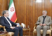 آمادگی وزارت امور خارجه برای حمایت‌های کنسولی از زائران ایرانی