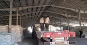 توزیع ۱۰۰۰ تن کود یارانه‌ای در رفسنجان توسط شرکت خدمات حمایتی کشاورزی