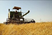 واریز ۱۲ درصدی مطالبات گندمکاران استان سمنان