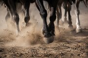 بنوالسرج چه کسانی هستند؟