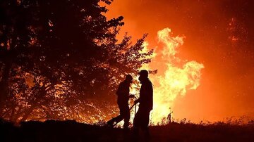 مهار آتش‌سوزی در انجیرستان‌های پلنگان نی‌ریز/سهل‌انگاری۱.۳میلیارد تومان خسارت بر جای گذاشت