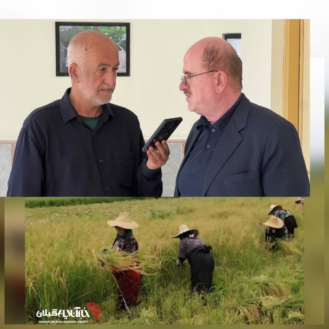 لاهوتی: لغو ممنوعیت واردات برنج در فصل برداشت، تخلف قانونی است لاهوتی: لغو ممنوعیت واردات برنج در فصل برداشت، تخلف قانونی است