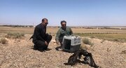 «سارگپه» بهبودیافته به طبیعت بوئین زهرا بازگشت