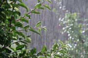 ببینید | بارش شدید باران، رعد و برق و بادهای شدید شانگهای را درنوردید