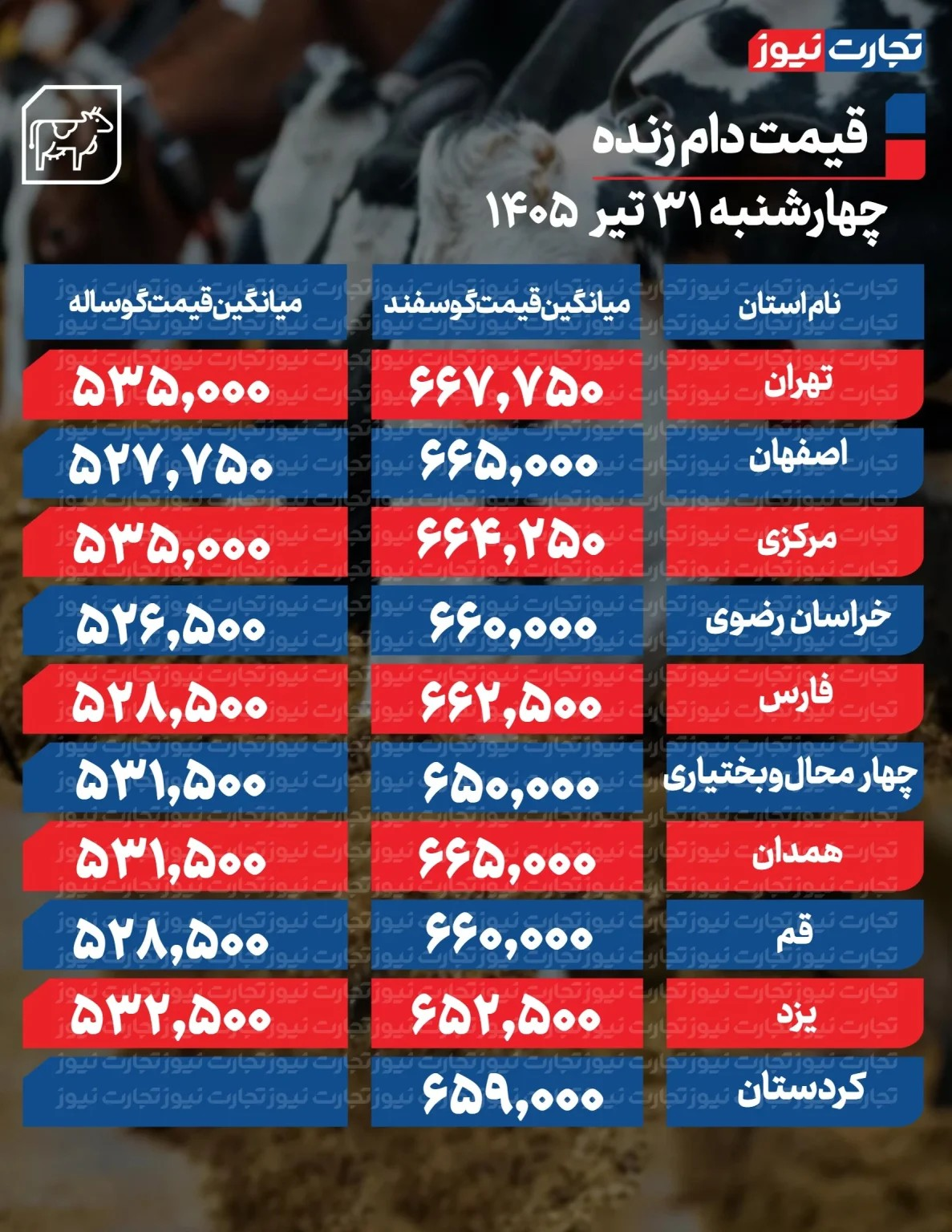قیمت جدید دام زنده امروز ۳۱ تیر ۱۴۰۵/ ارزانترین گوسفند و گوساله کجا به فروش میرود؟ + جدول