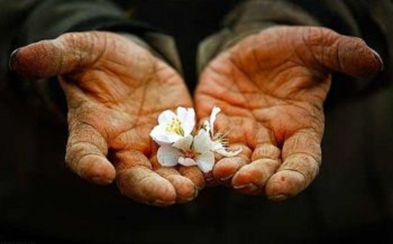 درآمد حلال چگونه آرامش و خوشبختی را به خانواده می‌آورد؟