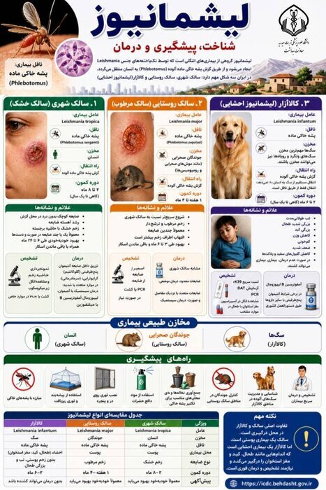 نخستین مورد بیماری سالک خطرناک در این شهر ثبت شد