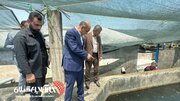بازدید استاندار گیلان از واحد پرورش ماهیان خاویاری در تالش