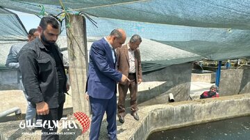بازدید استاندار گیلان از واحد پرورش ماهیان خاویاری در تالش بازدید استاندار گیلان از واحد پرورش ماهیان خاویاری در تالش