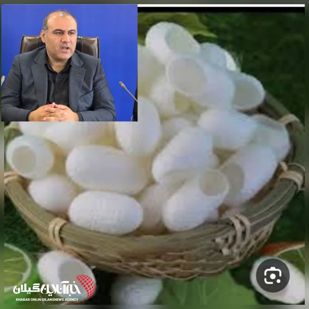 فرماندار شهرستان لنگرود: فرماندار شهرستان لنگرود: