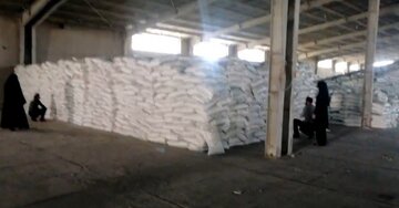 تضمین کیفیت نهادههای کشاورزی در کرمان/ نمونهبرداری دقیق از محموله جدید کود سولفات پتاسیم تضمین کیفیت نهادههای کشاورزی در کرمان/ نمونهبرداری دقیق از محموله جدید کود سولفات پتاسیم