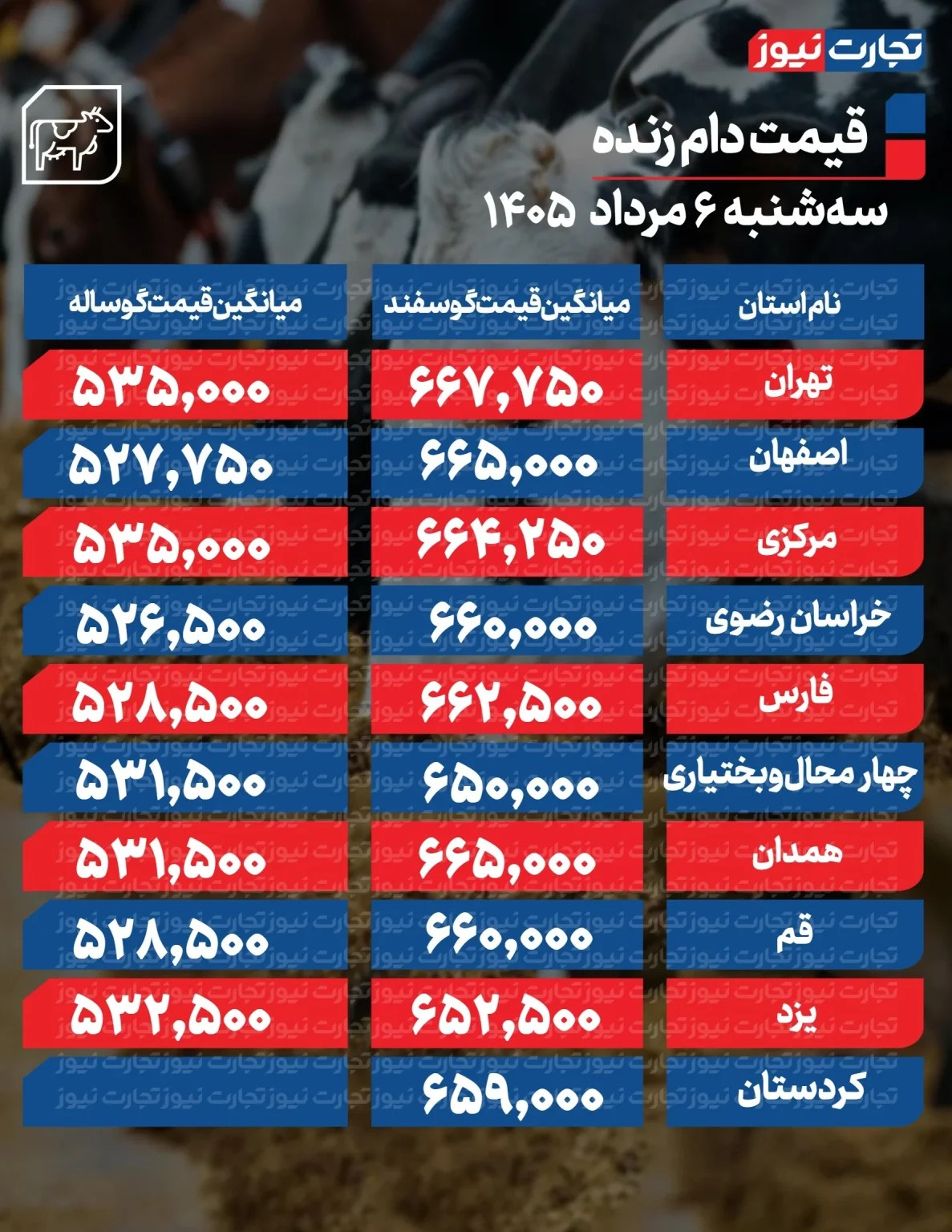 قیمت دام زنده امروز ۶ مرداد ۱۴۰۵/ گوساله چند شد؟ + جدول