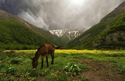 از آبشارهای پنهان تا دشت‌های مرتفع؛ در فصل گرما کجا آب و هوا تازه کنیم؟/ معرفی ۶ مقصد بکر و خنک اطراف تهران