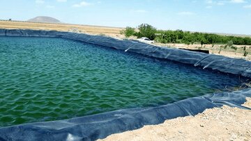 جهاد کشاورزی خراسان شمالی برای ایمن‌سازی چه کرده است؟