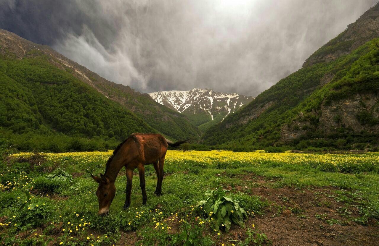 از آبشارهای به دور از چشم تا دشتهای بلند؛ بهترین مکانها برای فرار از گرما در فصل تابستان کجا هستند؟/ معرفی ۶ مقصد خاص و خنک در اطراف تهران از آبشارهای به دور از چشم تا دشتهای بلند؛ بهترین مکانها برای فرار از گرما در فصل تابستان کجا هستند؟/ معرفی ۶ مقصد خاص و خنک در اطراف تهران