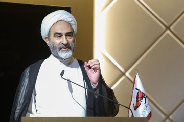 نگاه متفاوت عضو مجلس خبرگان رهبری به راهپیمایی اربعین