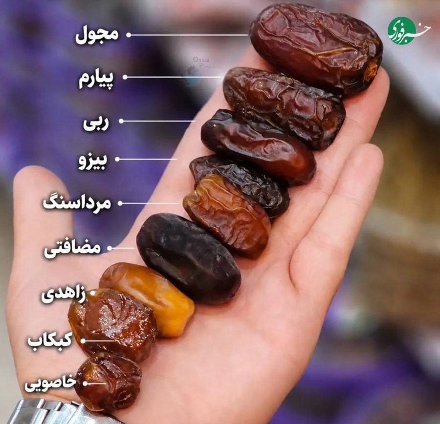 عکس | سفری به دنیای رنگارنگ خرماها  در 9 طیف