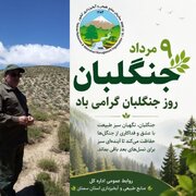 پیام تبریک مدیرکل منابع طبیعی سمنان به مناسبت روز جهانی جنگلبان