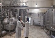 تسهیل فرآیند صادرات محصولات دامی استان کرمان/بازدید از کارخانه شیر پاستوریزه پگاه
