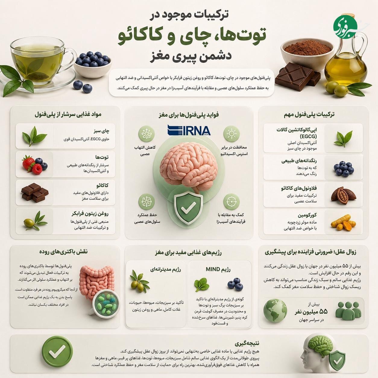 اینفوگرافیک | کشف اکسیر جوانی در ترکیبات موجود در توتها، چای و کاکائو