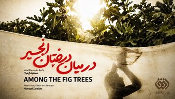شبکه افق با «در میان درختان انجیر» به جاده نجف تا کربلا می‌رود