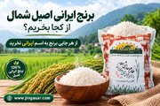 برنج ایرانی اصیل شمال از کجا بخریم؟ از هر جایی برنج نخرید