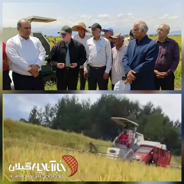 فرماندار لنگرود: سیاست‌های حمایتی دولت  سطح زیرکشت برنج را هزار هکتار افزایش داد