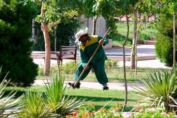 تصادف پژو با کارگر فضای سبز شهرداری
