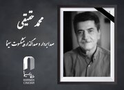 محمد حقیقی، صدابردار و صداگذار پیشکسوت سینمای ایران درگذشت