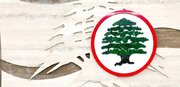 راز دشمنی وزیرخارجه لبنان با ایران /  یوسف رجی چه ارتباطی با حزب نزدیک به اسرائیل دارد؟