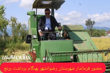 فرماندار رضوانشهر: پیش‌بینی برداشت ۴۵ هزار تن شلتوک از شالیزارهای شهرستان