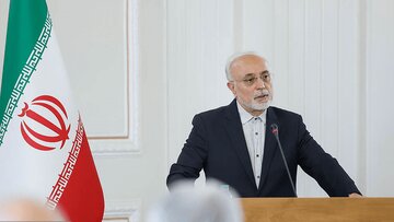 صالحی: امام حسین (ع) تا آخرین لحظه راه گفت‌وگو را نبست/ مقاومت هرگز به معنای نفی گفت‌وگو نیست/  اگر ملتی باور کند که....