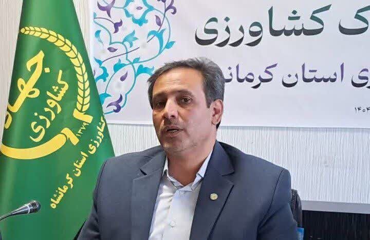 کرمانشاه در جایگاه دوم کشور در فروش خوراک آماده مرغ گوشتی