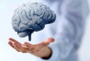 ۴ کار ساده برای سالم نگه داشتن مغز / عاداتی که نباید دست‌کم بگیرید