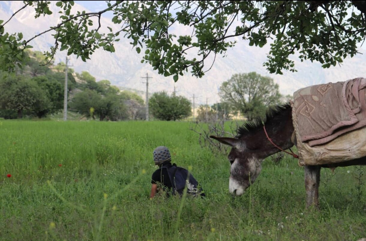 مستند «نازول» به کارگردانی یک خوزستانی، در جشنواره معتبر بالکان به نمایش درمیآید