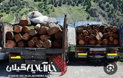 کشف ۸ تن چوب قاچاق در رودسر