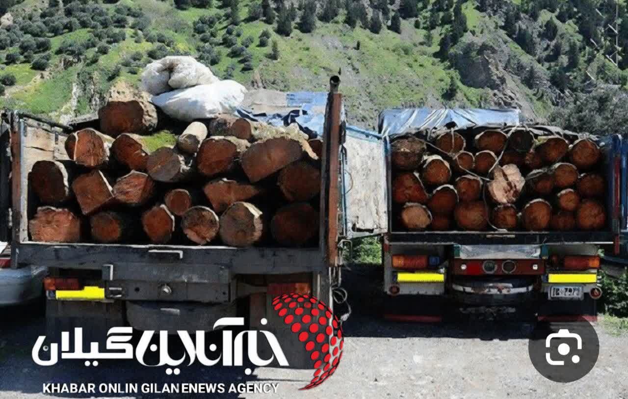 کشف 8 تن چوب قاچاق در رودسر کشف 8 تن چوب قاچاق در رودسر