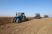 ۱۴۰ هزار هکتار از دیمزارهای خراسان‌شمالی زیر چتر طرح پایداری تولید