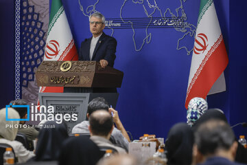بقائی: مطالبه ایران از قطر، روشن شدن وضعیت خلبانان ایرانی است/مداخلات بازیگران روند تفاهم ایران و عمان را زمان‌بر کرده است